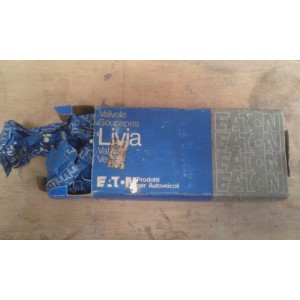 Fiat 1500 C intake valves