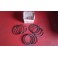 Fasce elastiche Fiat 1100 103
