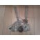 Lancia Aurelia B10 rear right window lifter