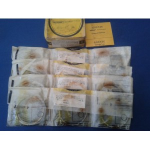 Fiat 600 d fasce elastiche standard