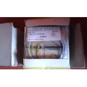 Fiat 124 fasce elastiche