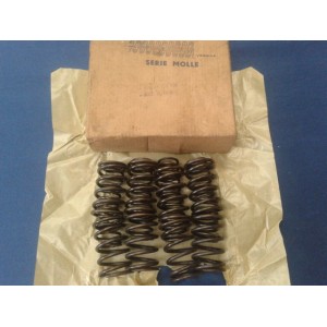 Fiat 124 valve springs