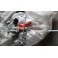 Alfa 155 alzavetri ant dx elettrico