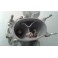 Solex C34 PAIA 2 revised to Fiat 1300 1500